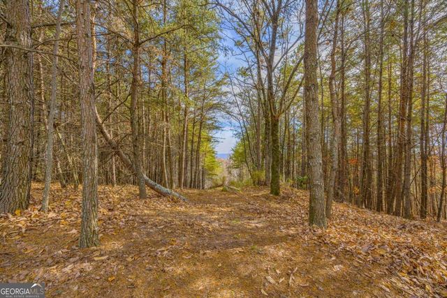 0 Eagle Ridge Trail, Cleveland, GA 30528