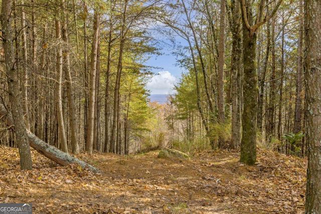 0 Eagle Ridge Trail, Cleveland, GA 30528