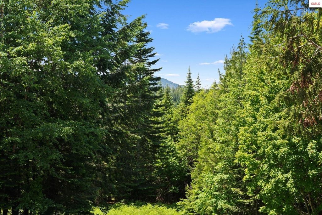 343 W Spring Creek Rd, Hope, ID 83836 photo 87