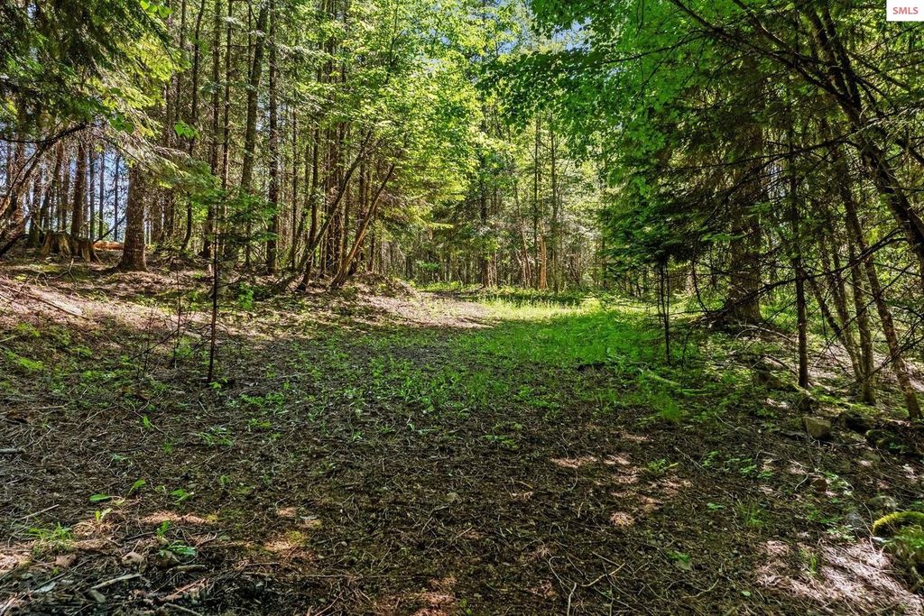 343 W Spring Creek Rd, Hope, ID 83836 photo 89