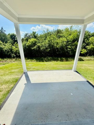 117 Emeline Way, Mount Juliet, TN 37122