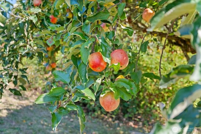 2169 Ponderosa Drive SE, Port Orchard, WA 98366