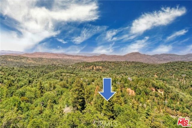 28270 Arbon Lane, Lake Arrowhead, CA 92352