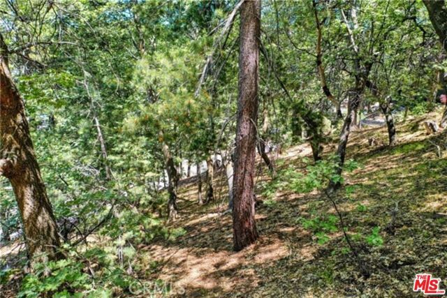 28270 Arbon Lane, Lake Arrowhead, CA 92352