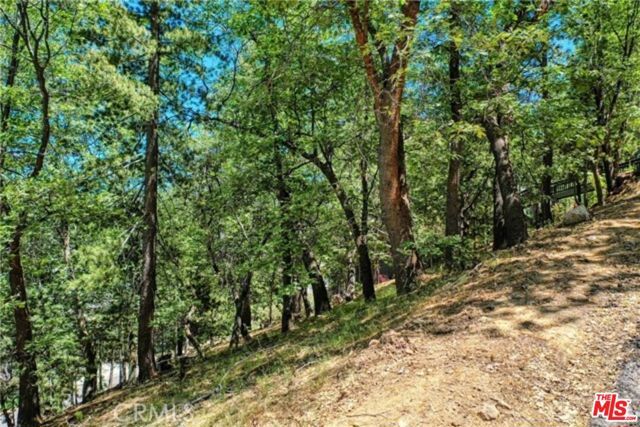 28270 Arbon Lane, Lake Arrowhead, CA 92352