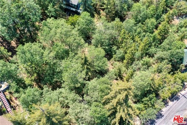28270 Arbon Lane, Lake Arrowhead, CA 92352