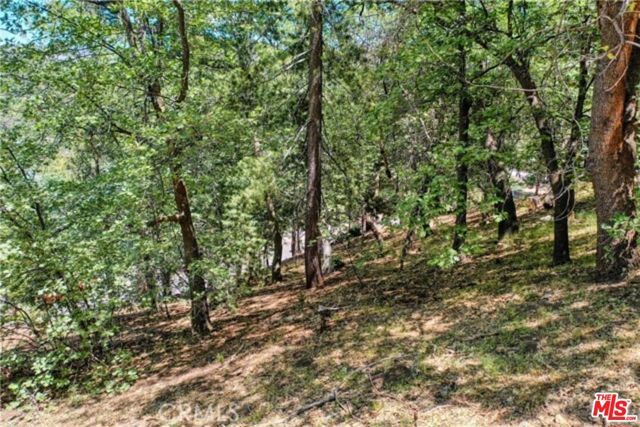 28270 Arbon Lane, Lake Arrowhead, CA 92352