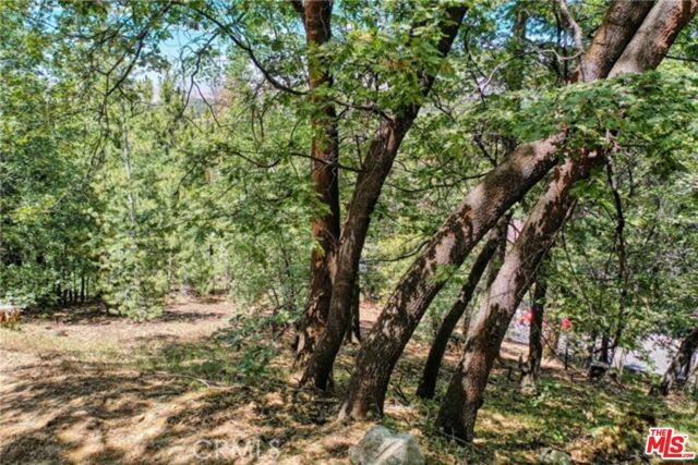 28270 Arbon Lane, Lake Arrowhead, CA 92352