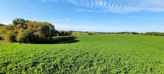 Lot 12 Hemmingford Avenue, Tomah, WI 54660