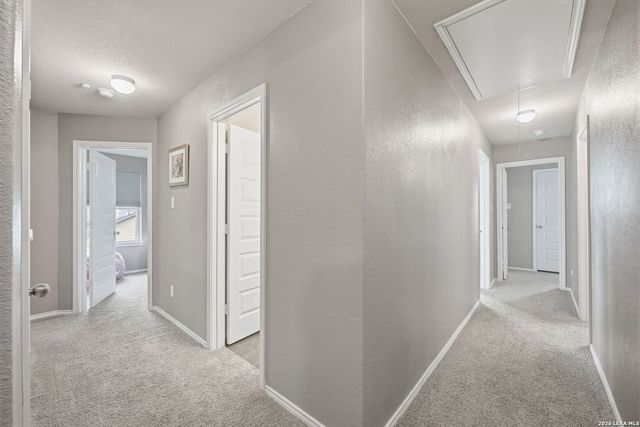 3147 SALITE ST, New Braunfels, TX 78130