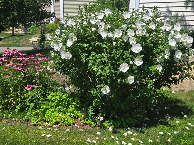 18 Kensington, Plymouth, MA 02360