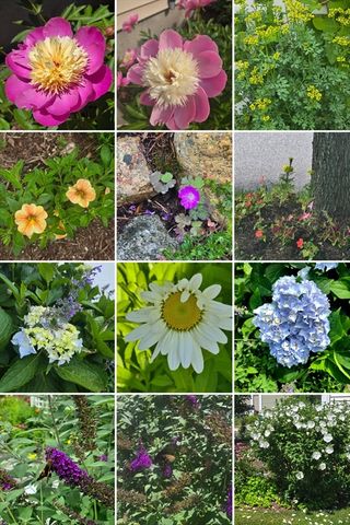 18 Kensington, Plymouth, MA 02360