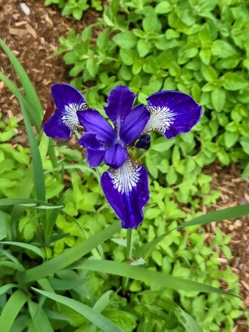 18 Kensington, Plymouth, MA 02360