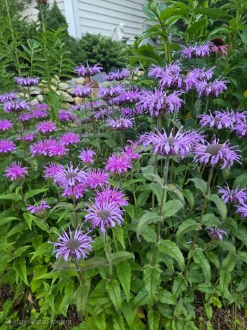 18 Kensington, Plymouth, MA 02360