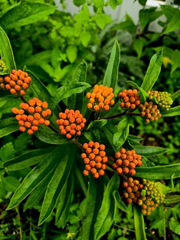 18 Kensington, Plymouth, MA 02360