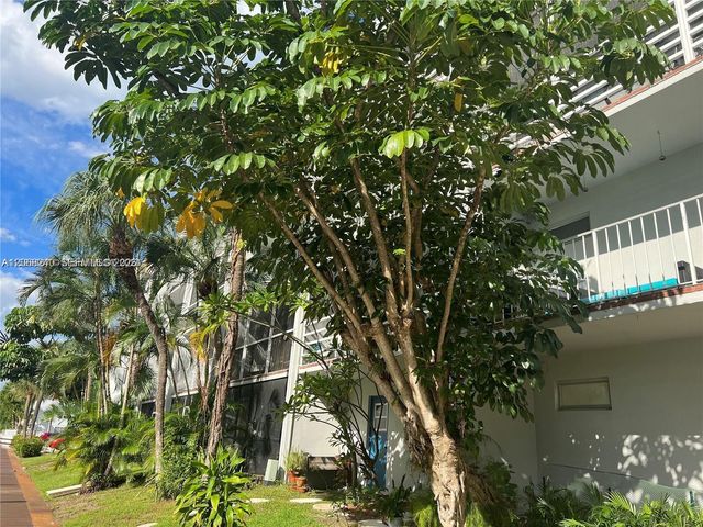 1407 NE 56th Street 103, Fort Lauderdale, FL 33334