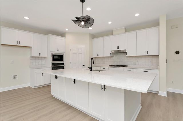 12633 SHETLAND WALK DRIVE, Lithia, FL 33547