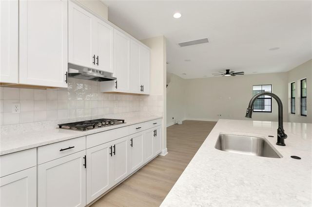 12633 SHETLAND WALK DRIVE, Lithia, FL 33547
