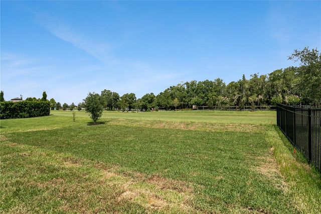 12633 SHETLAND WALK DRIVE, Lithia, FL 33547
