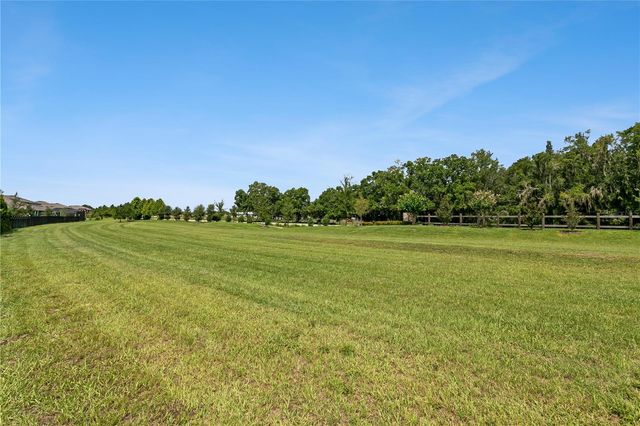 12633 SHETLAND WALK DRIVE, Lithia, FL 33547