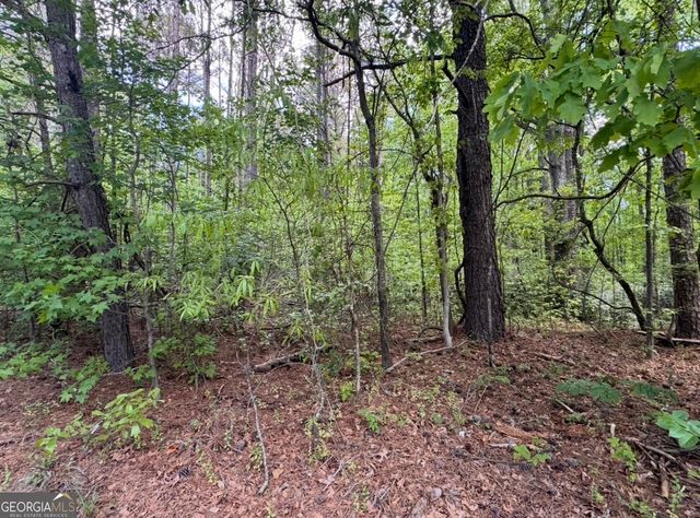 N OF 482 Antioch Road - 25.596 Acres, Fayetteville, GA 30215