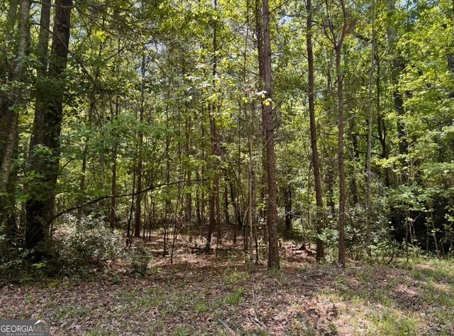 N OF 482 Antioch Road - 25.596 Acres, Fayetteville, GA 30215