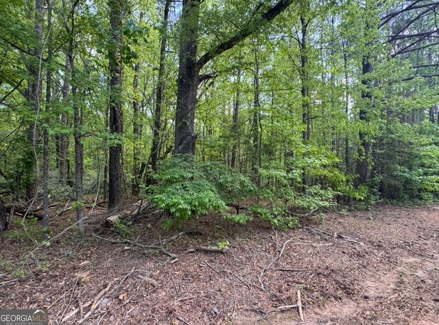 N OF 482 Antioch Road - 25.596 Acres, Fayetteville, GA 30215