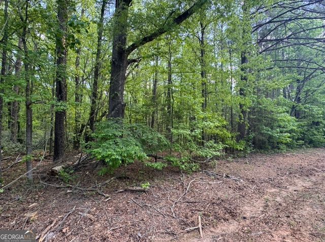 N OF 482 Antioch Road - 25.596 Acres, Fayetteville, GA 30215