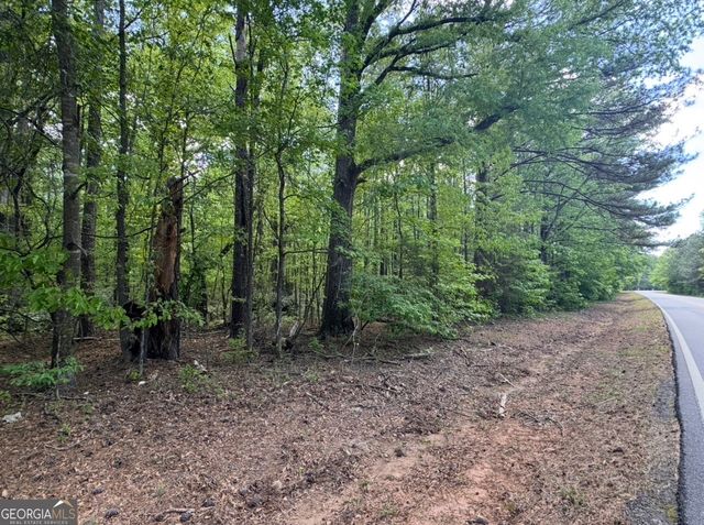 N OF 482 Antioch Road - 25.596 Acres, Fayetteville, GA 30215