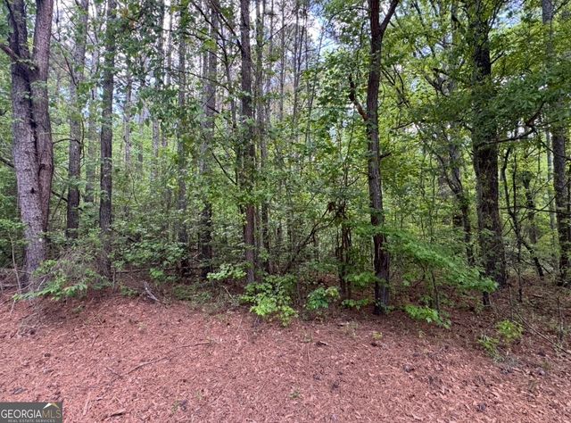 N OF 482 Antioch Road - 25.596 Acres, Fayetteville, GA 30215