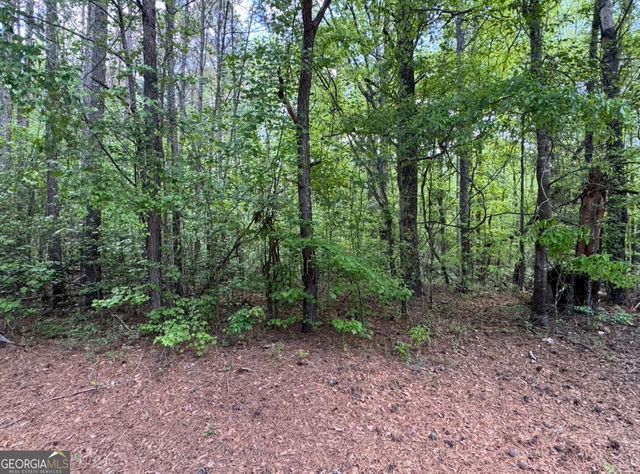 N OF 482 Antioch Road - 25.596 Acres, Fayetteville, GA 30215