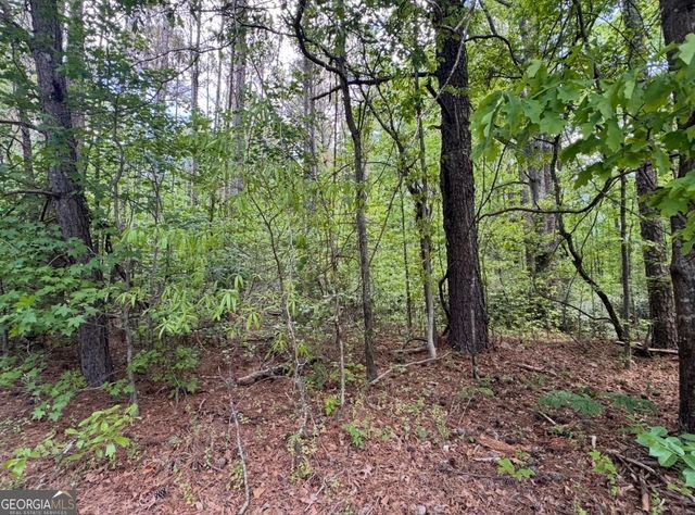 N OF 482 Antioch Road - 25.596 Acres, Fayetteville, GA 30215