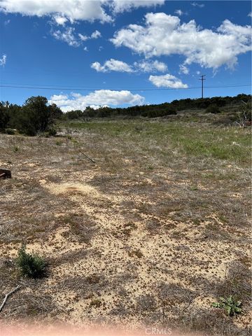 0 Scouts Lane, Anza, CA 92539