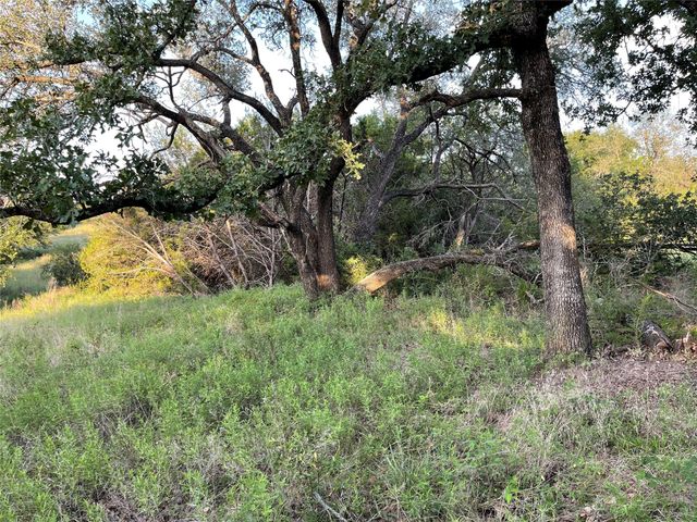 Lot 13 CR 127, Carlton, TX 76436
