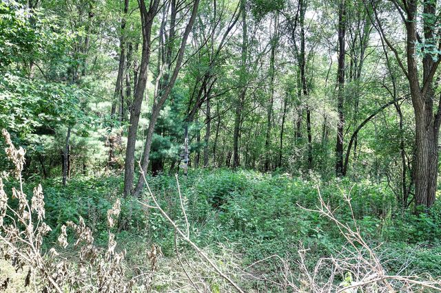 13513 Crooked Lake Boulevard NW, Andover, MN 55304