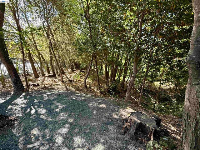 516 Moraga Way, Orinda, CA 94563