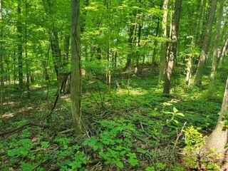 V/L Peterson Drive, Gobles, MI 49055