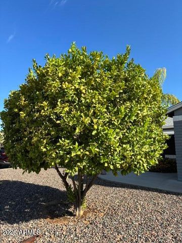 903 S 78TH Place, Mesa, AZ 85208