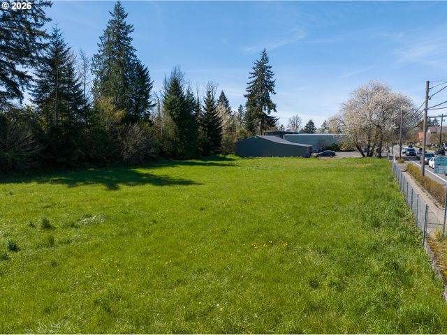 TAX ID 71529000 St, Washougal, WA 98671