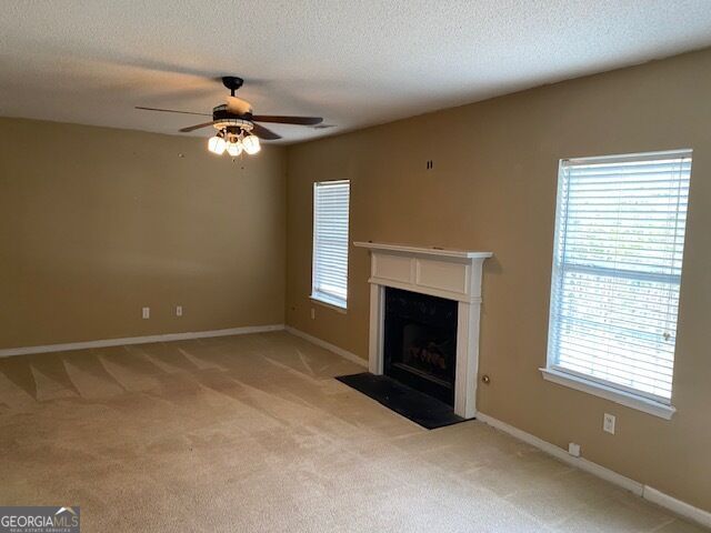 713 Burtons Cove, Hampton, GA 30228