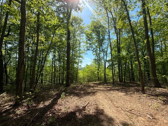 0 Laurel Lake Dr, Monteagle, TN 37356