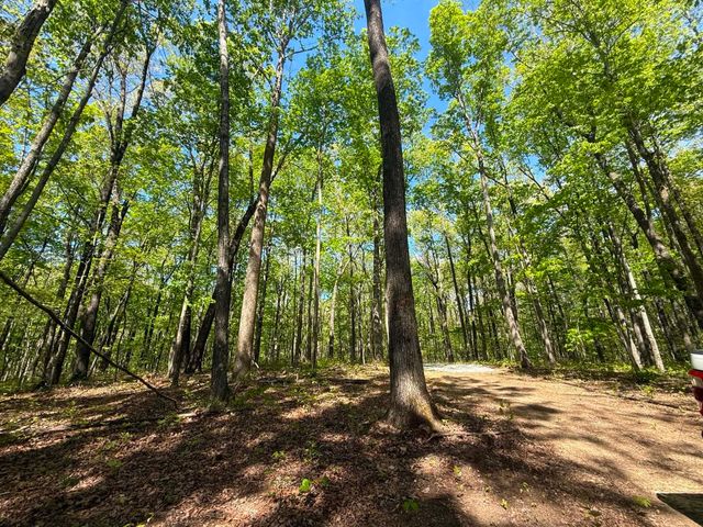 0 Laurel Lake Dr, Monteagle, TN 37356