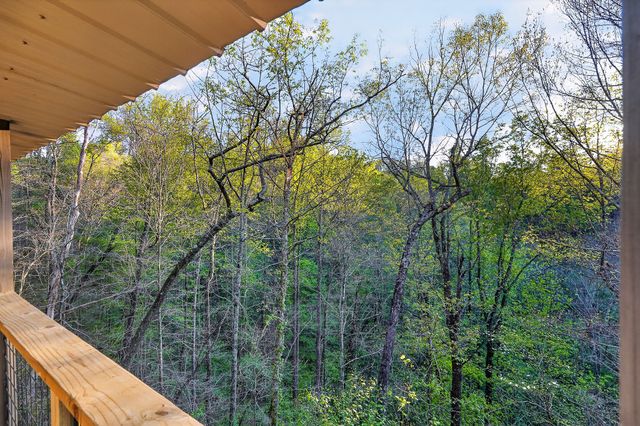 421 Alpine Dr, Smithville, TN 37166