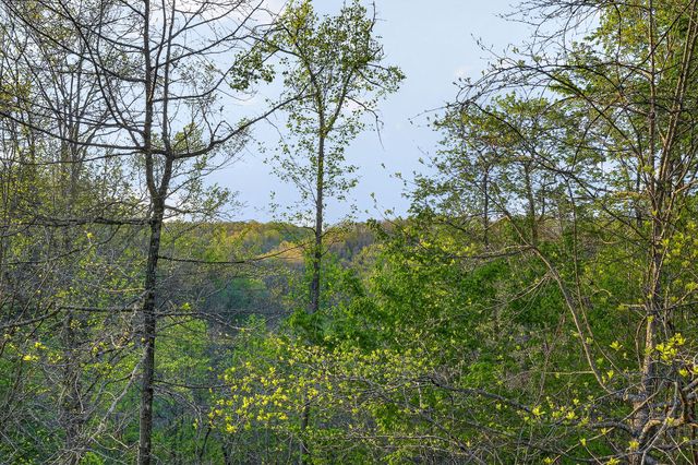 421 Alpine Dr, Smithville, TN 37166