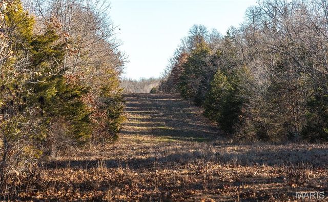 55ac. 29900 Pelican Drive, Lebanon, MO 65536