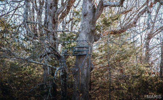 55ac. 29900 Pelican Drive, Lebanon, MO 65536