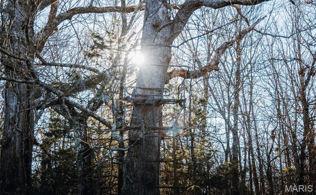 55ac. 29900 Pelican Drive, Lebanon, MO 65536