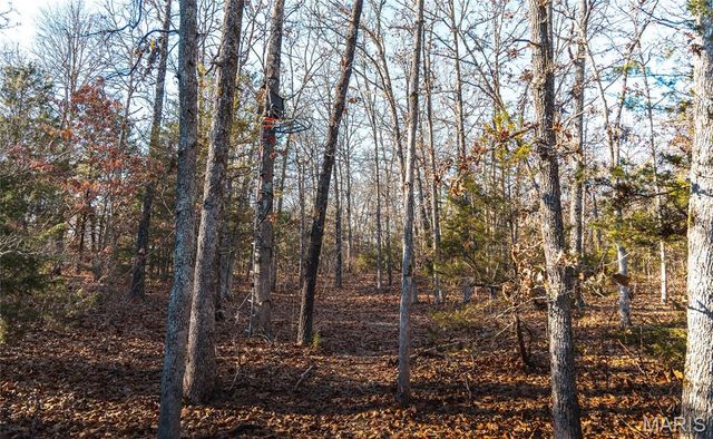 55ac. 29900 Pelican Drive, Lebanon, MO 65536