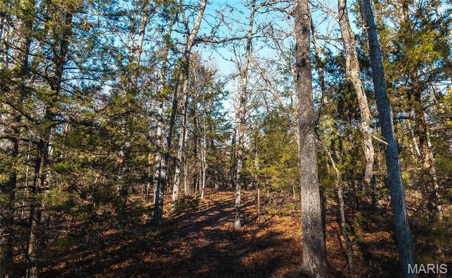 55ac. 29900 Pelican Drive, Lebanon, MO 65536