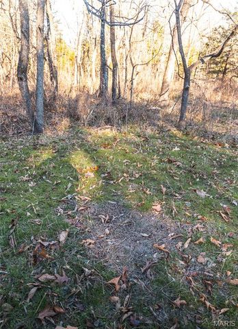 55ac. 29900 Pelican Drive, Lebanon, MO 65536